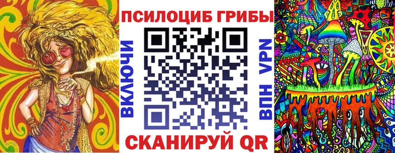 Псилоцибиновые грибы Psilocybe Верхний Уфалей